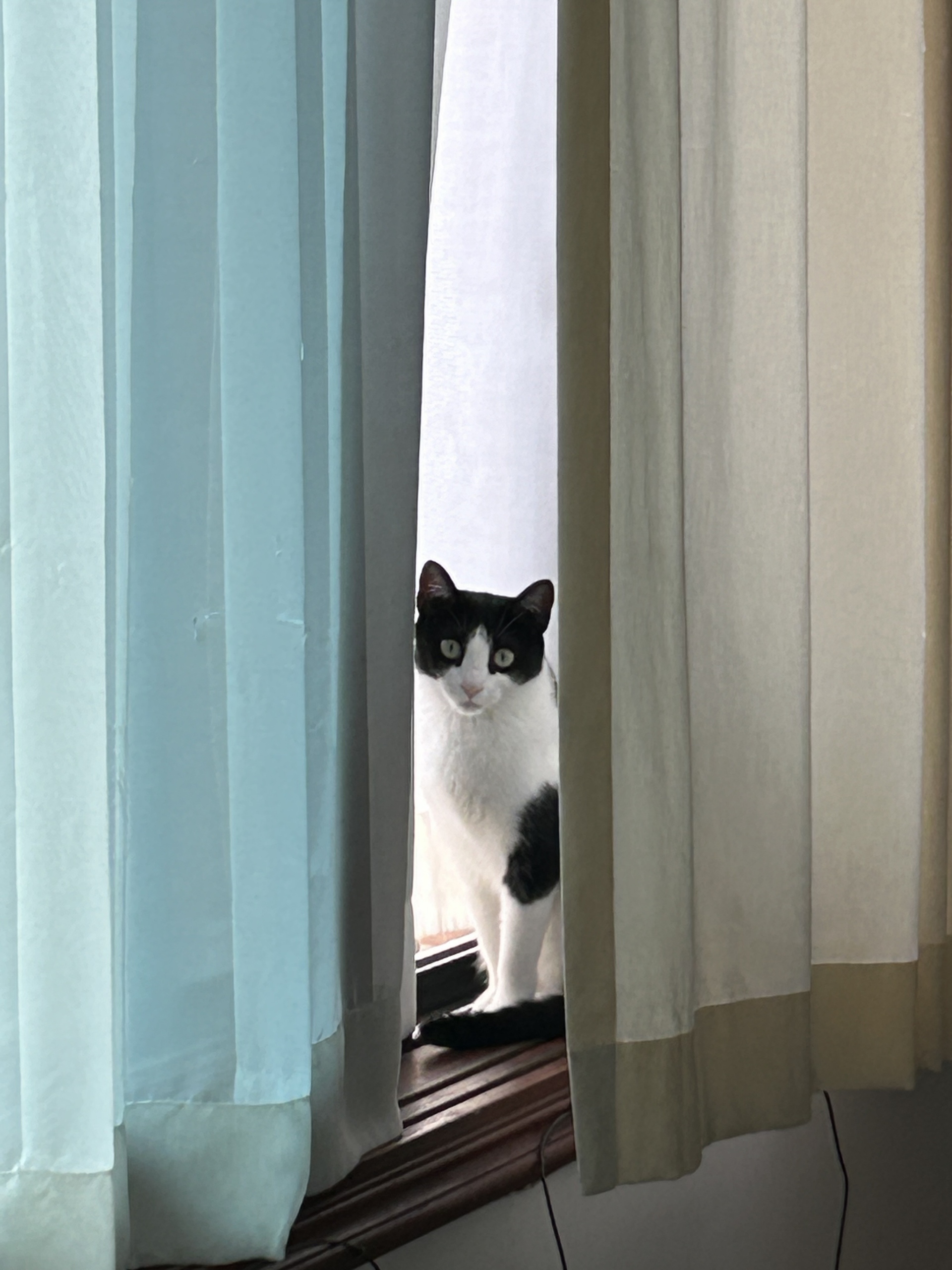 KakaoTalk_20260130_104648412_05