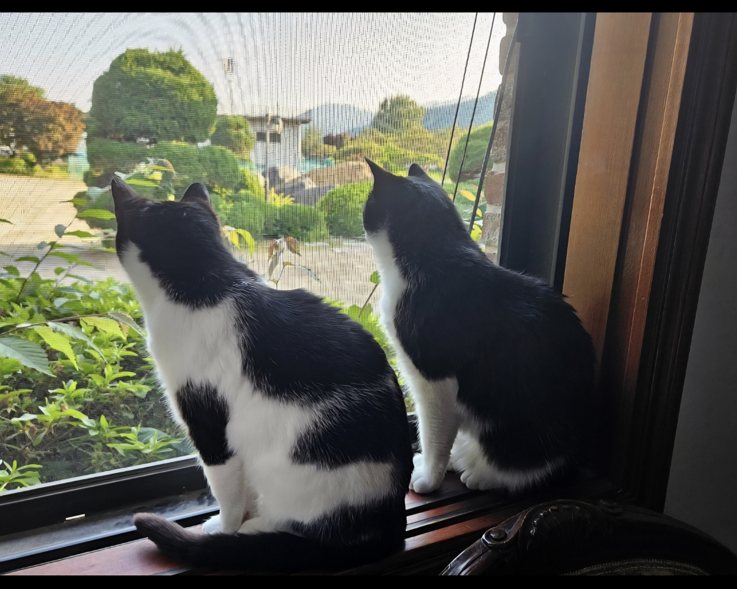 KakaoTalk_20260130_104616330