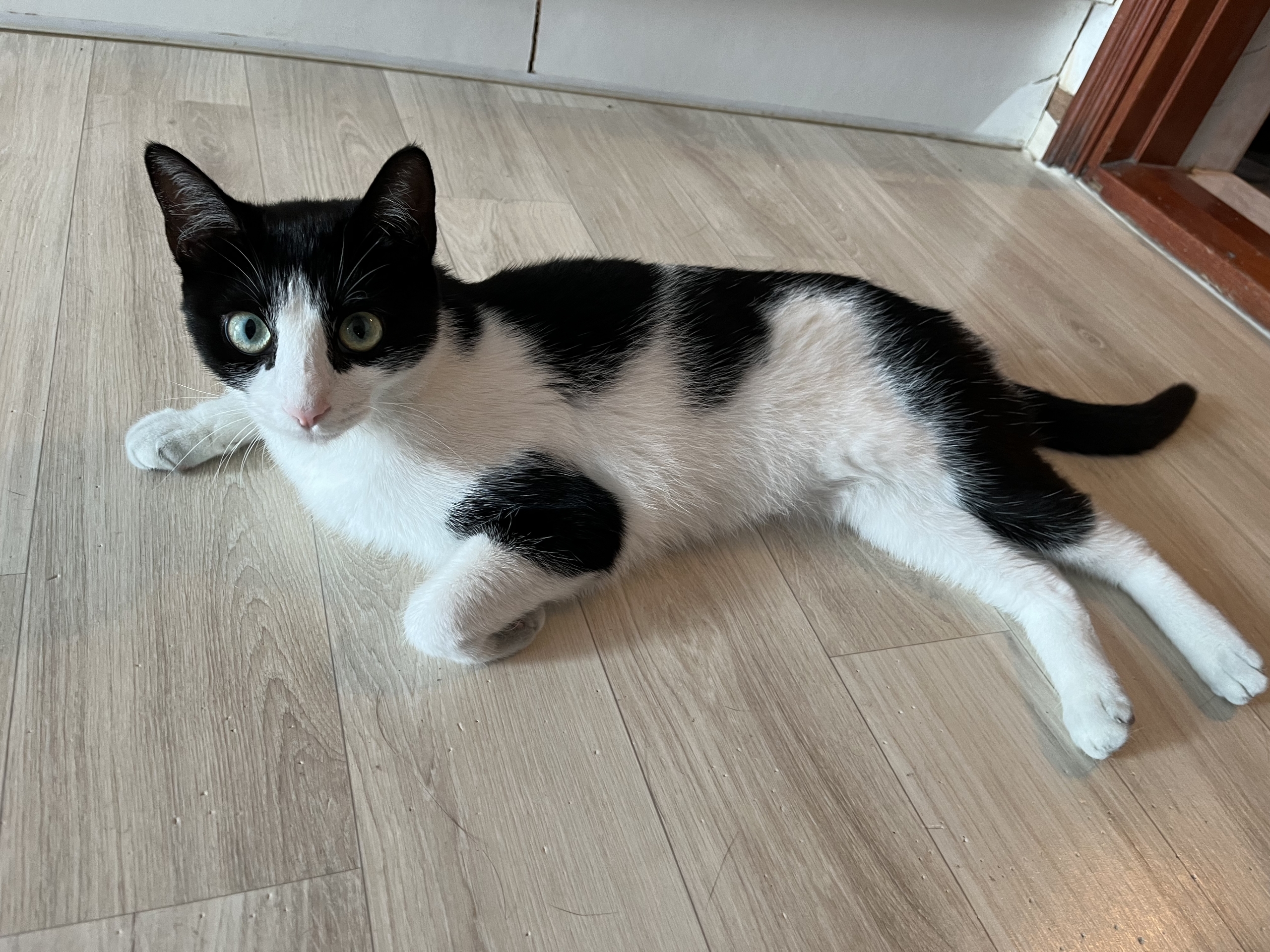 KakaoTalk_20260130_104648412_03