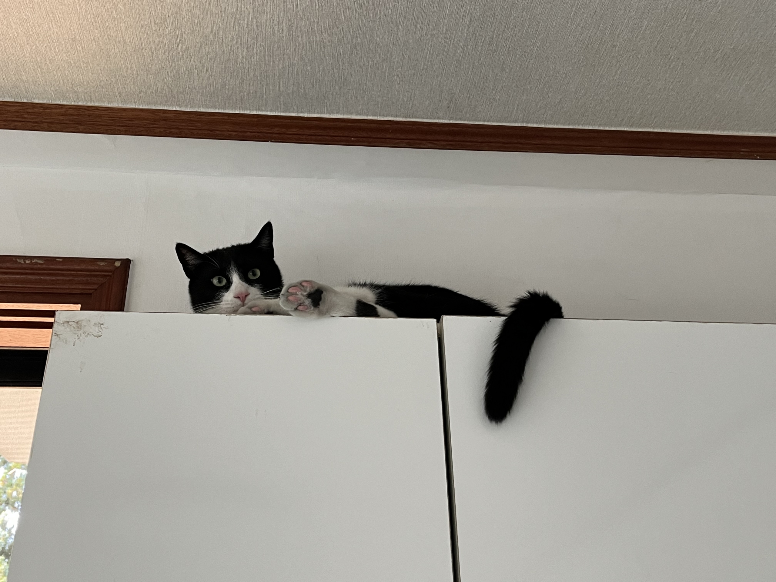 KakaoTalk_20260130_104648412_02