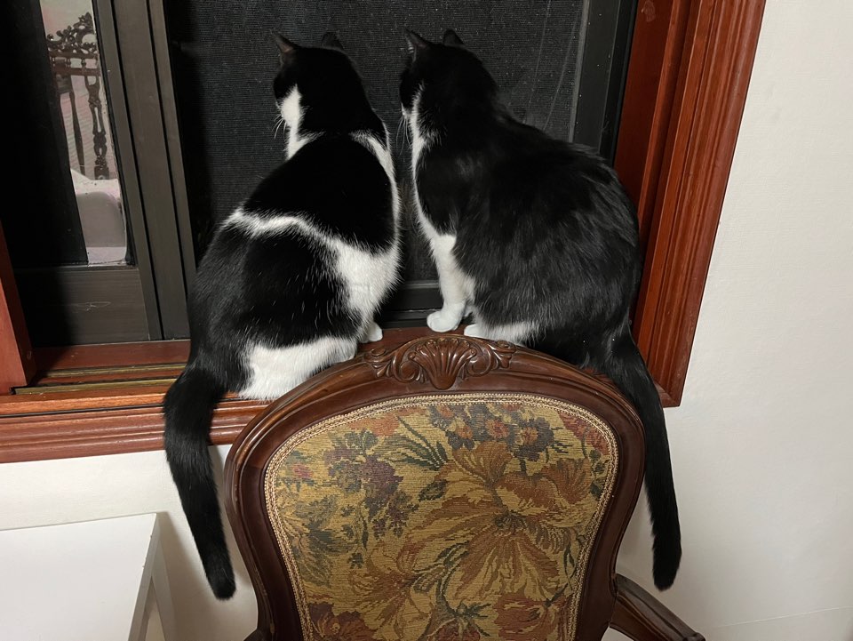 KakaoTalk_20260130_104648412_01