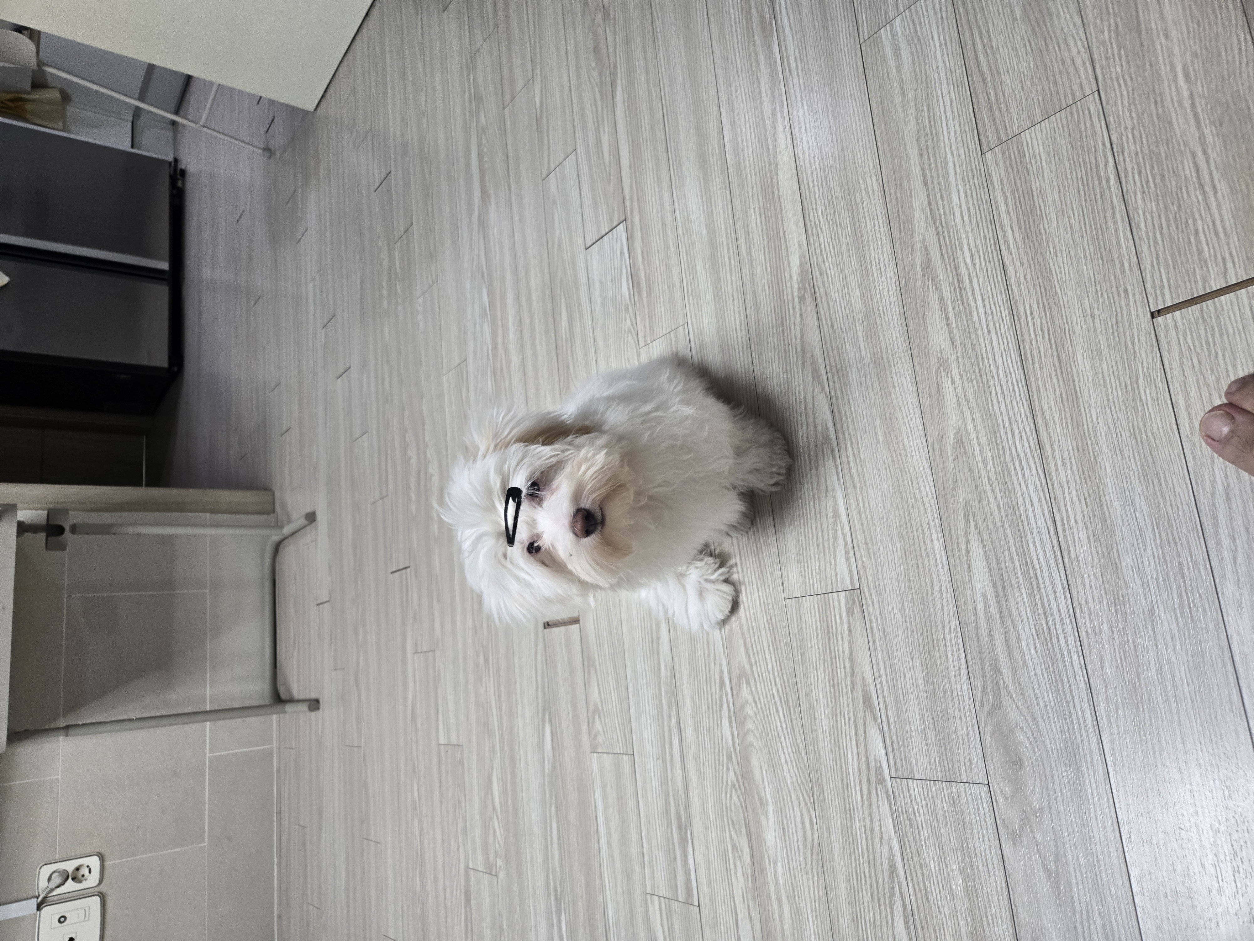 KakaoTalk_20260129_121839839_01