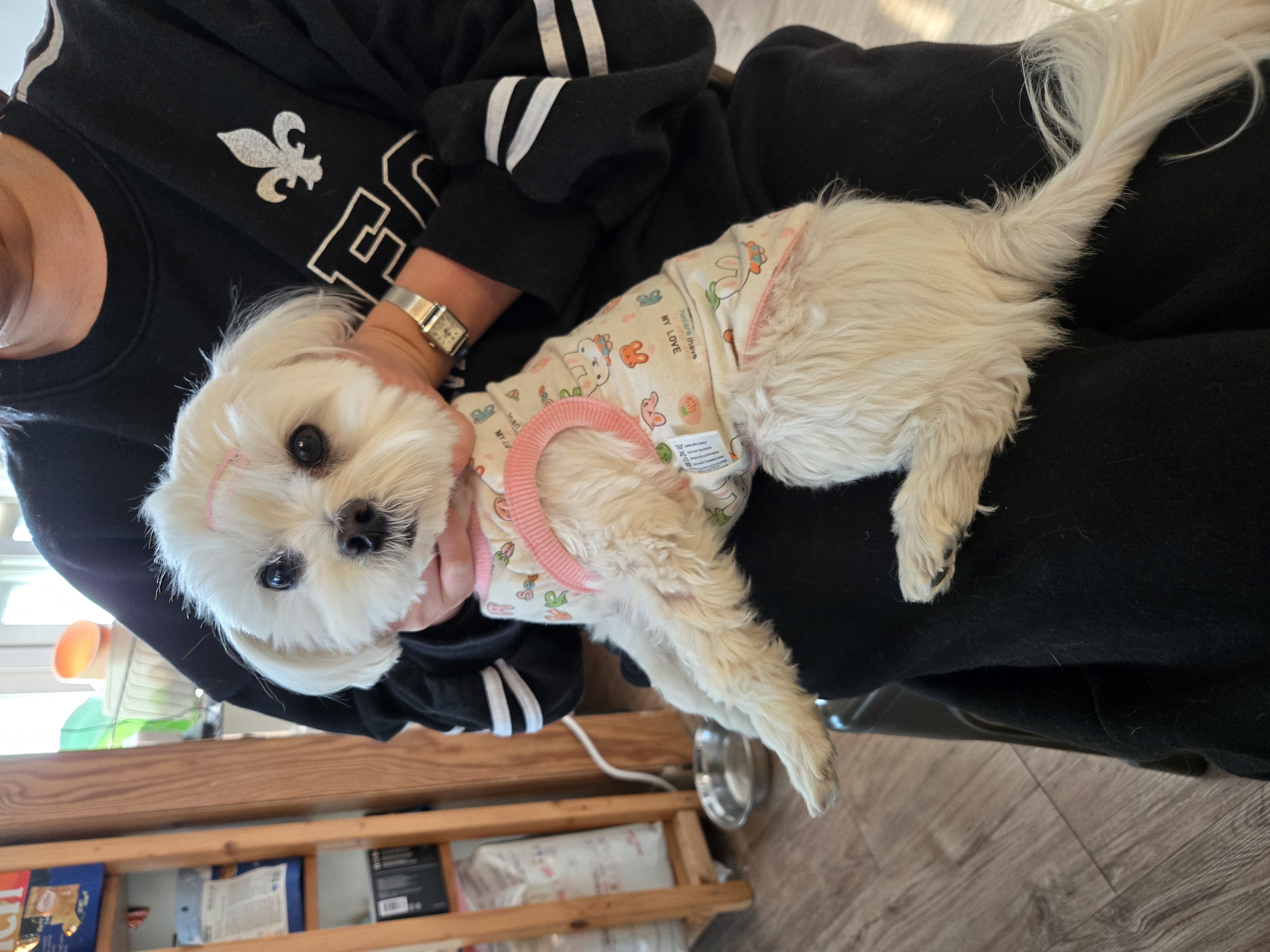 KakaoTalk_20260129_121839839