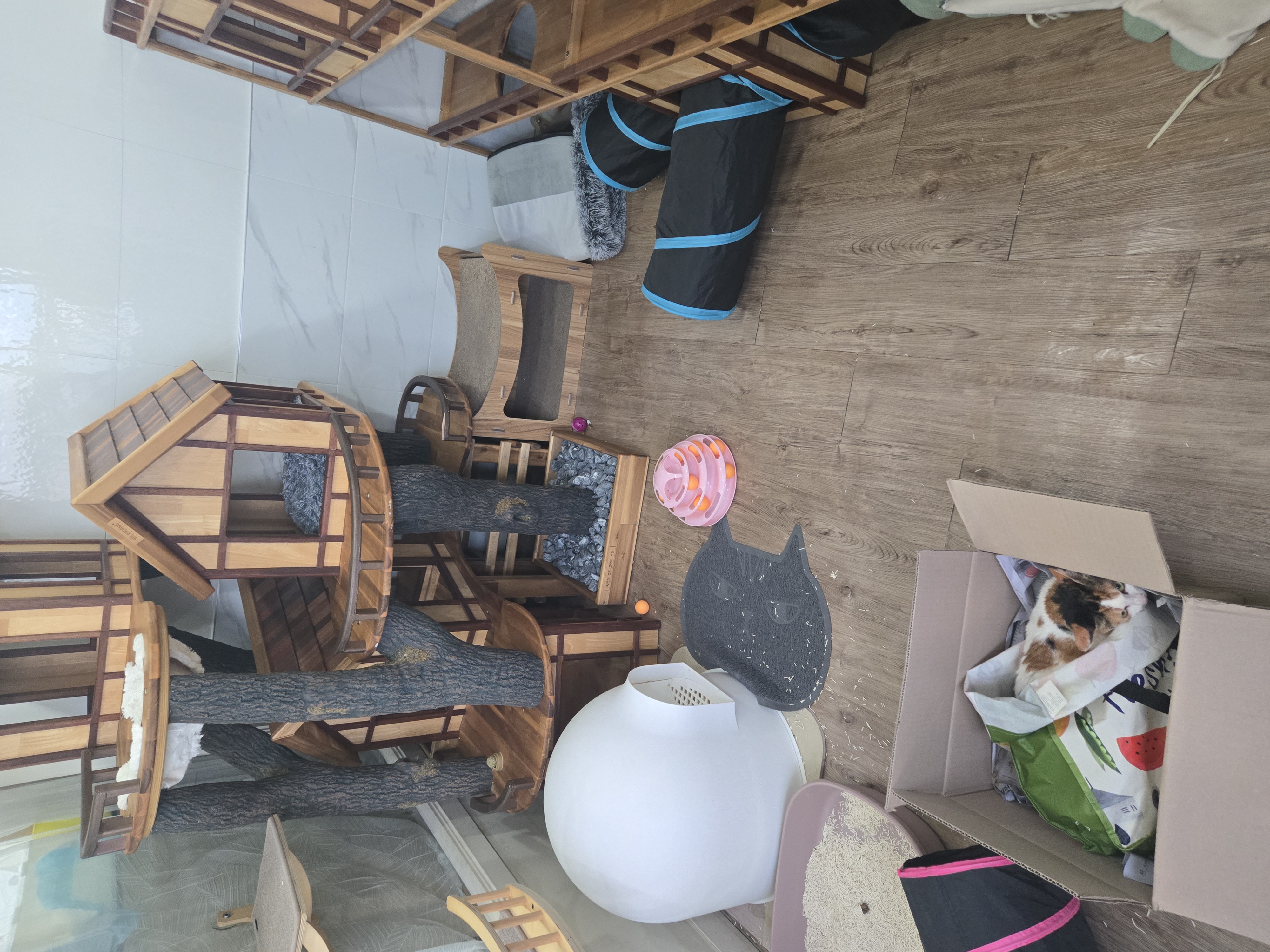 KakaoTalk_20260129_121839839_04