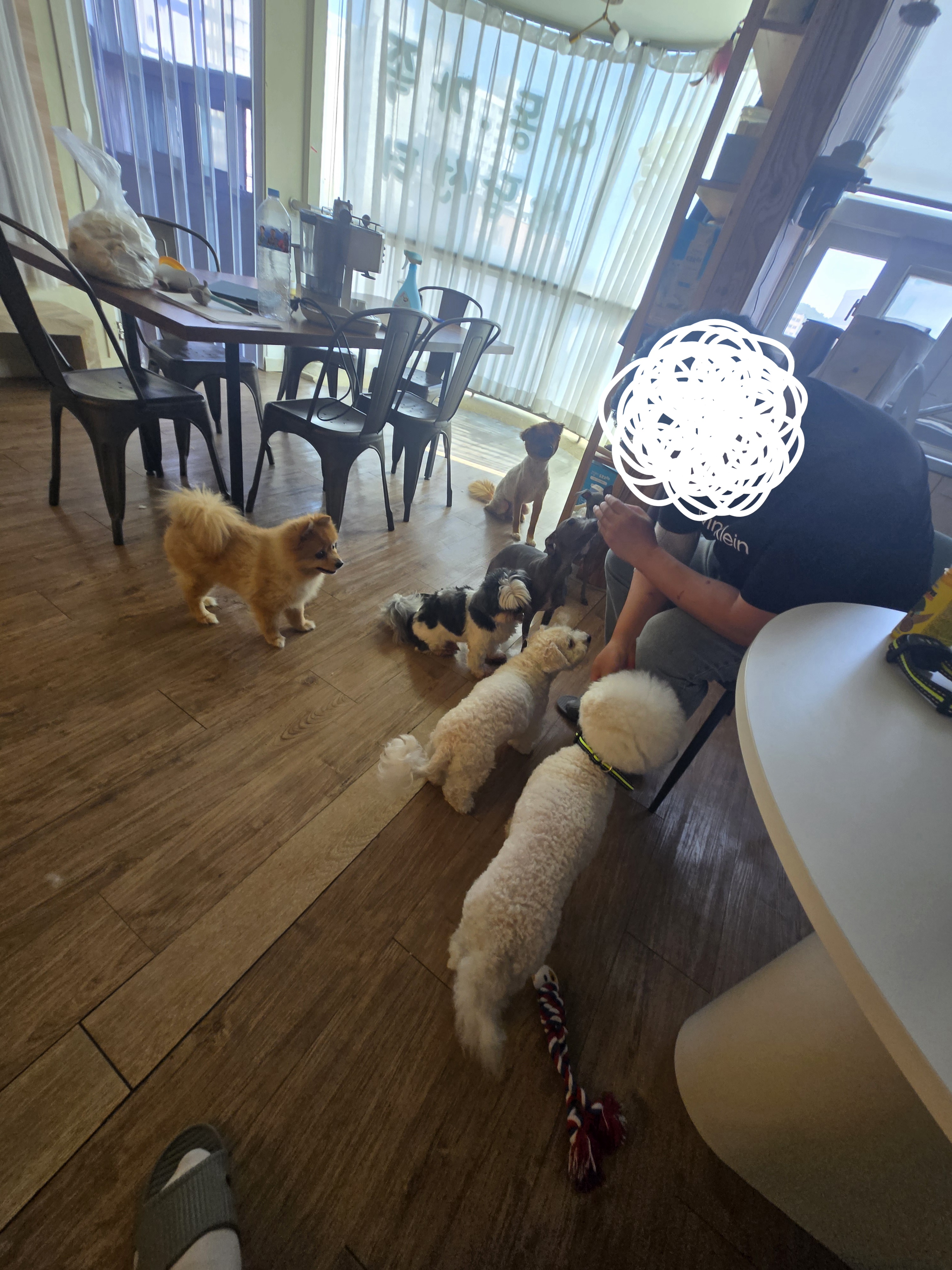 KakaoTalk_20260129_121839839_03