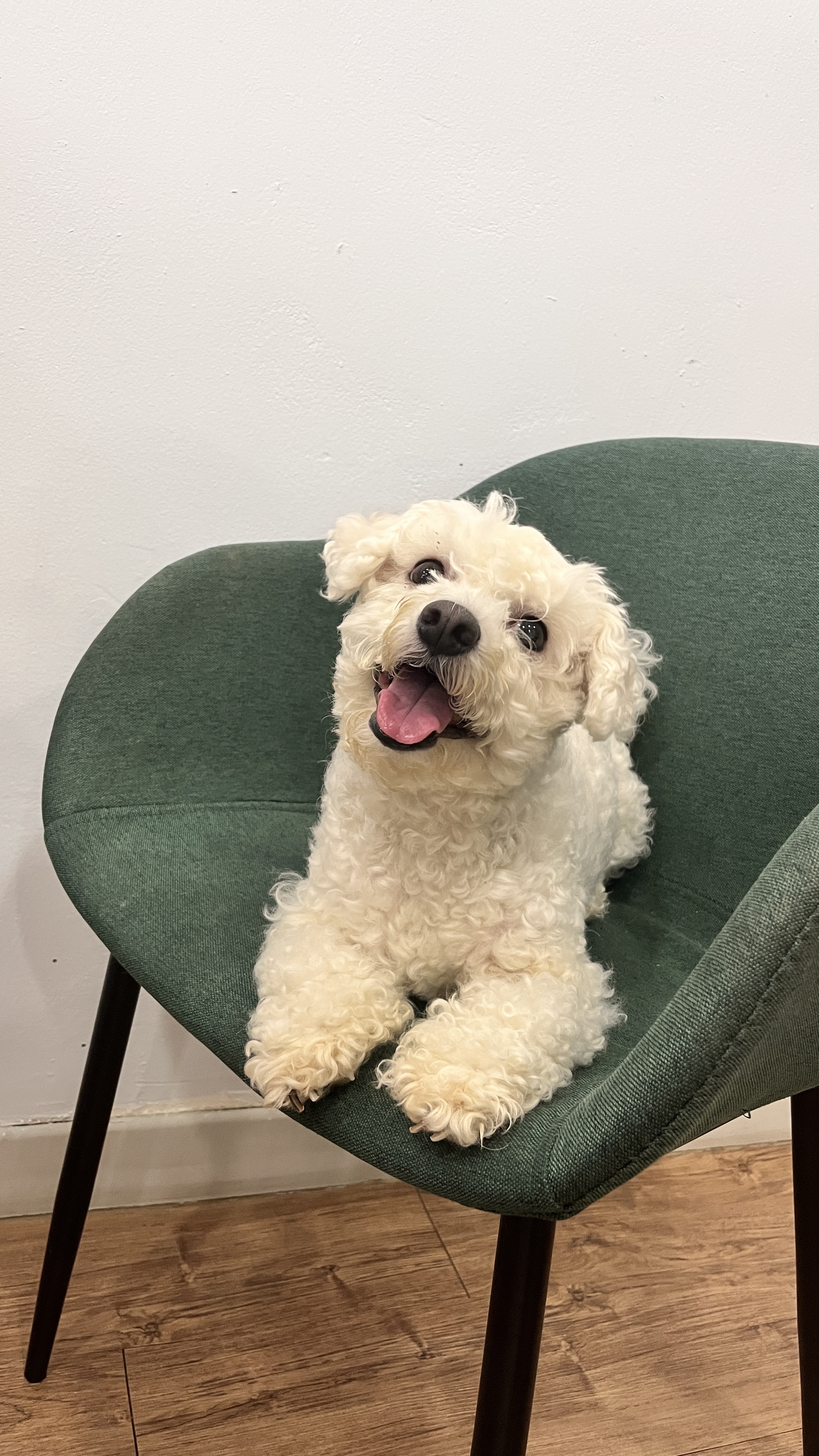 KakaoTalk_20260129_121839839_05