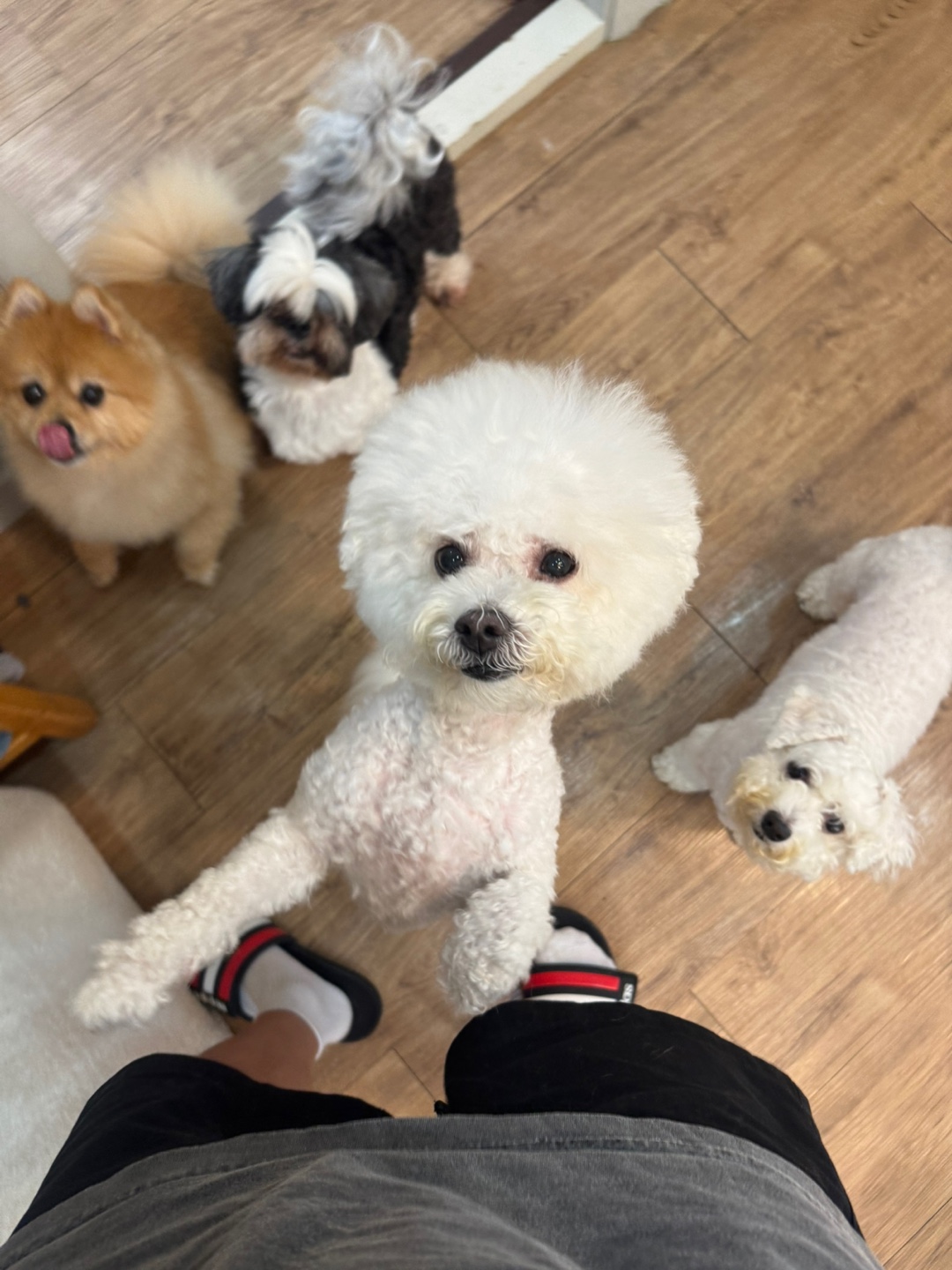 KakaoTalk_20260129_121839839_06